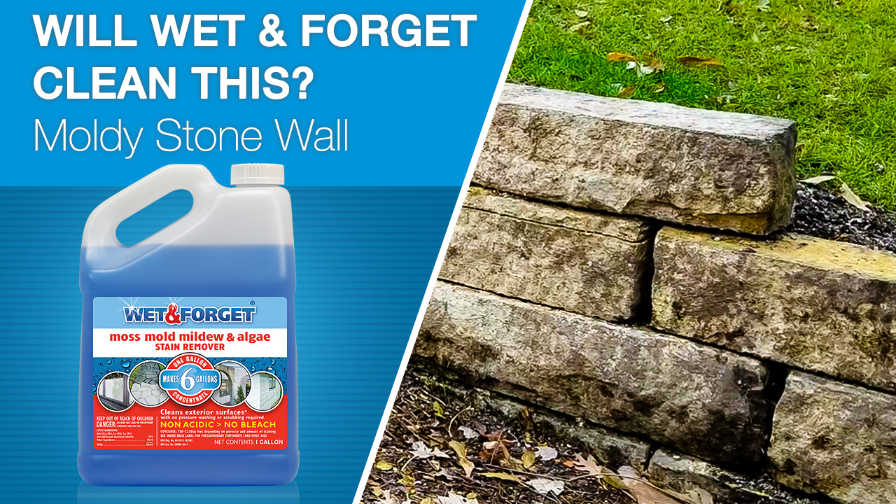 Algenentfernung an Steinmauer